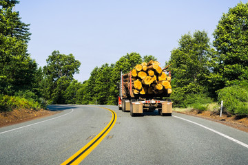 Truck transporting logs near Redding, California