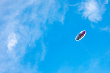 balloon toy on the blue sky