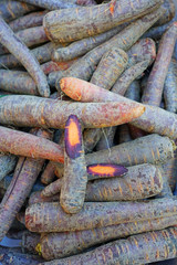 Colorful multicolor orange, purple, red and white heirloom carrots at a farmers market