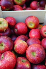 Fresh red apples in a crate at a farmers market 