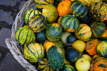 Basket of colorful decorative pumpkins and gourds in the fall