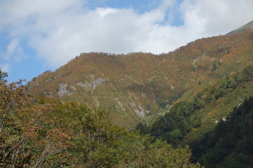 山