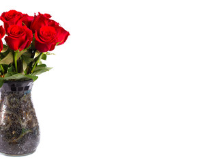 Dozen Red Roses in a Vase Isolated on a White Background