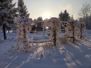 Sun and snow