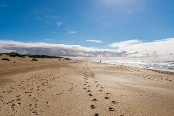 Fototapeta na wymiar Mar de las Pampas beach