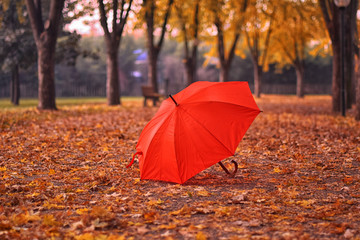 Red umbrella in the autumn