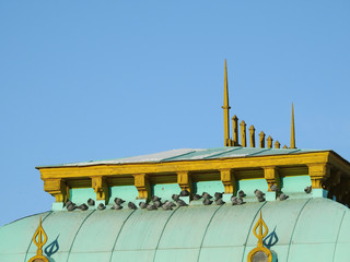PIGEONS IN THE GREEN ROOF, YELLOW BOARDS, CLEAR SKY