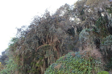 naturaleza