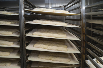 Sourdough loaves waiting for the oven