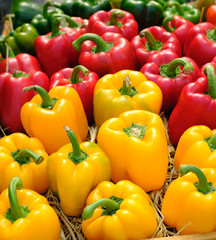 Bell peppers sorted by color
