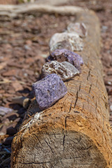 Amethyst brushes on the shore of the White Sea