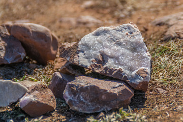 Amethyst brushes on the shore of the White Sea