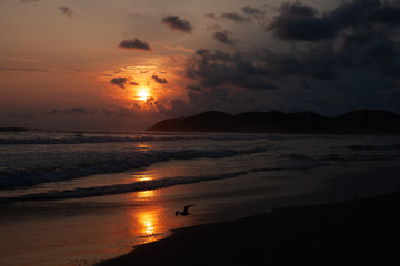 Fototapeta na wymiar sunset beach pacific