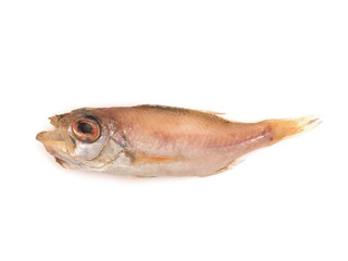 ノドグロの干物