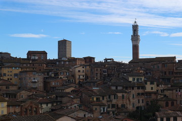 Panoramic view of Siena old town from above with Torre del Mangia, Italy