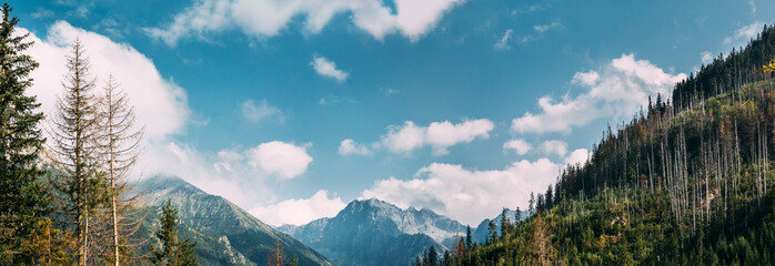 Tatra National Park, Poland. Summer Mountains And Forest Landsca