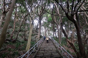 Obraz premium 福井県坂井市の雄島