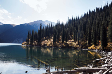 Tree trunks drown in emerald color lake in mountainous area, Kolsay (Kolsai) Lakes National Park, Kazakhstan