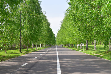 Cyclinng hiking running path road way in the summer park