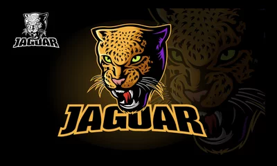 Foto op Plexiglas Jaguar Vector Logo Template. Vector illustration of a big cat jaguar or leopard head. Jaguar head in color.  © LintangDesign