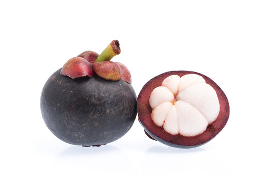 436 BEST Mangustan IMAGES, STOCK PHOTOS u0026 VECTORS  Adobe Stock