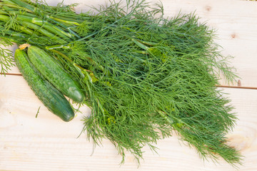 Fresh cucumbers and dill on a wooden table.