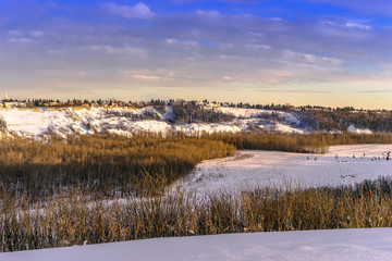 North Saskatchewan  river valley natural area south of Fort Edmonton  bridge, in the golden light of evening sunlight, Edmonton, Alberta