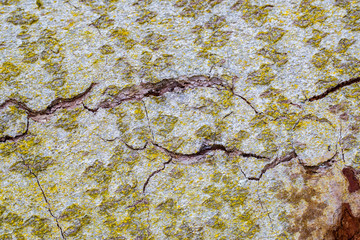 texture and background