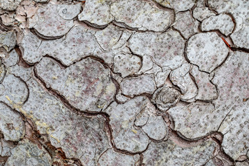 texture and background