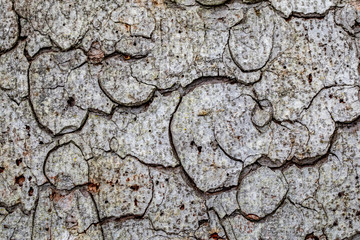 texture and background