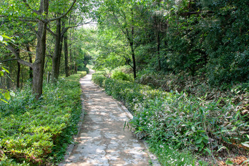 Fototapeta premium 新美南吉記念館童話の森