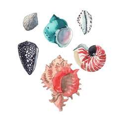 Watercolor shells set
