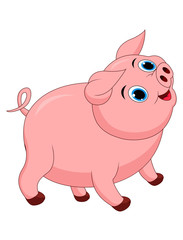 Cute pig cartoon isolated on white background