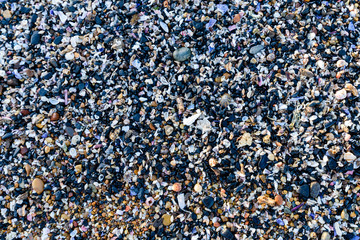 seashells and colorful pebble stones background