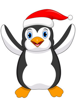 Penguin with santa hat isolated on white background