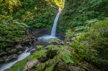 Obraz premium Rain Forest Blue Waterfall in Costa Rica