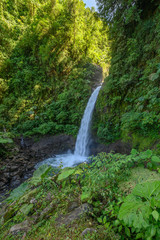 Plakat Rain Forest Blue Waterfall in Costa Rica