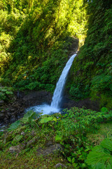 Plakat Rain Forest Blue Waterfall in Costa Rica