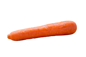 Organic large orange Carrot