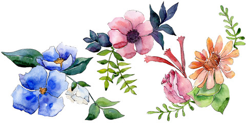 Bouquet floral botanical flowers. Watercolor background illustration set. Isolated flower illustration element.