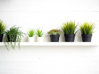 Pots with succulents on table