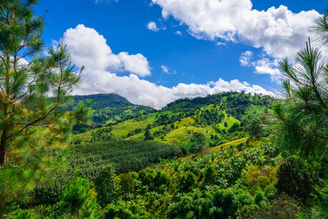 Fototapeta premium Blue sky high peak mountains fog hills mist scenery national park views at Phu Tub Berk, Khao Koh, Phetchabun Province, Thailand