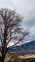 高原あるベーカリーカフェからの眺め