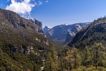 Fototapeta na wymiar Yosemite national Park