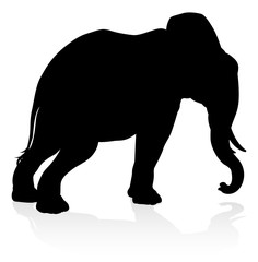 An elephant safari animal silhouette 