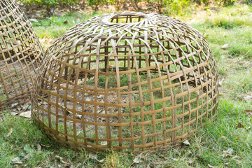 Chicken coop, a bamboo weaving cage for cock, hen or fighting cock to live in the garden. © Wiyada
