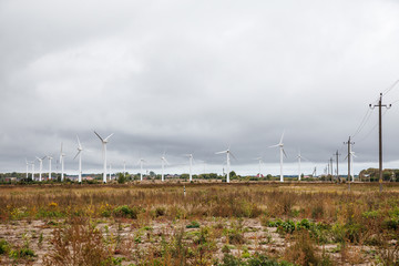 modern windmills in the field