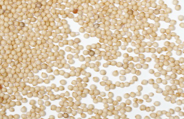 Amaranth seeds isolated on white background, macro top view