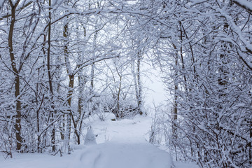 Beautiful view of snow covered trees, path and steps in a snowy forest on a cloudy day in the winter in Tampere, Finland.