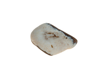 Single stone pebble isolated